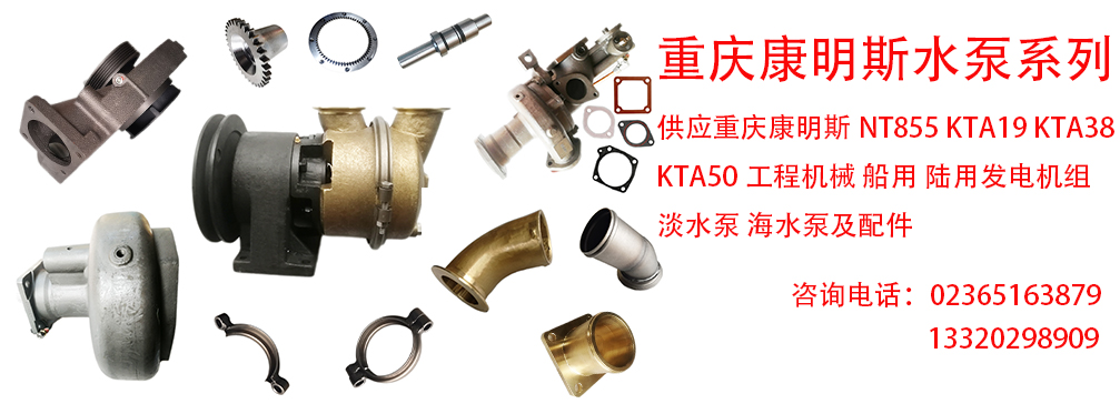 重庆康明斯水泵系列